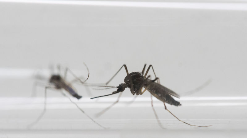 Health officials confirm 12th case of Zika virus in state