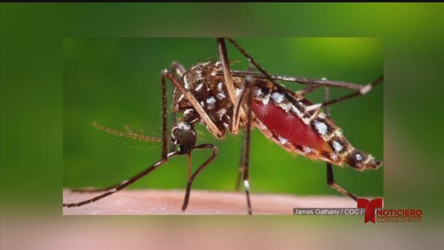 Florida having trouble with mosquito control