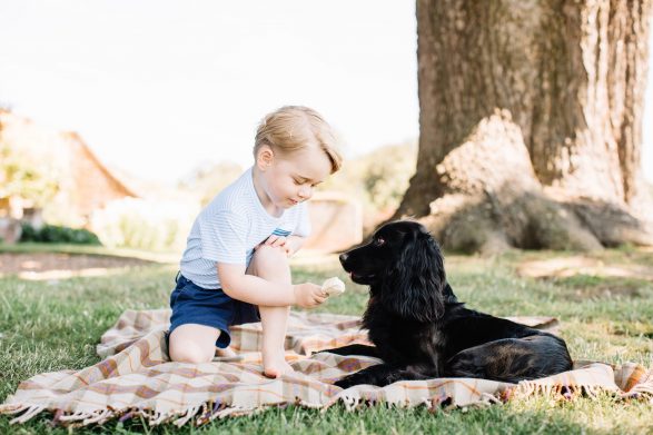 Happy birthday Prince George! Young royal turns three today