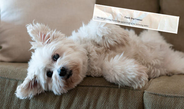 Getty Images  Reddit  rjohnstone13The dad made his children sign a hilarious contract before he would buy them a dog