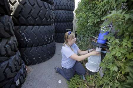 Zika outbreak: possible local transmission in Florida investigated