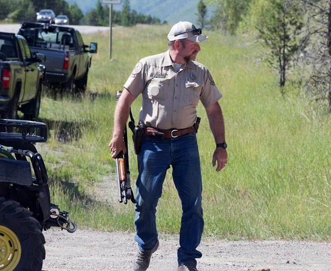 Montana Fish Wildlife and Parks game warden Perry Brown prepares to hunt for a grizzly bear that killed Forest Service law enforcement officer Brad Treat near West Glacier Mont. on Wednesday