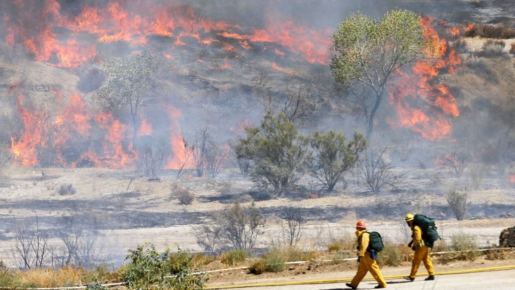 Hillside wildfire lights up Los Angeles, blackens skies