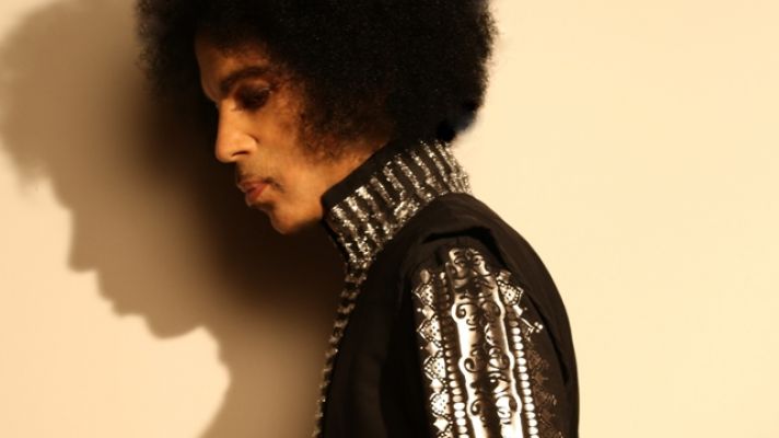 Carver County judge narrows list of potential Prince heirs