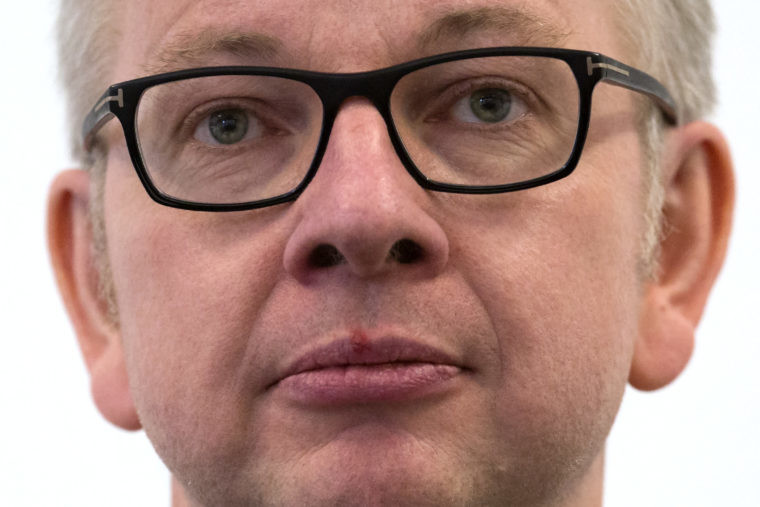 Justice Secretary Michael Gove has published his tax returns for the past two financial years