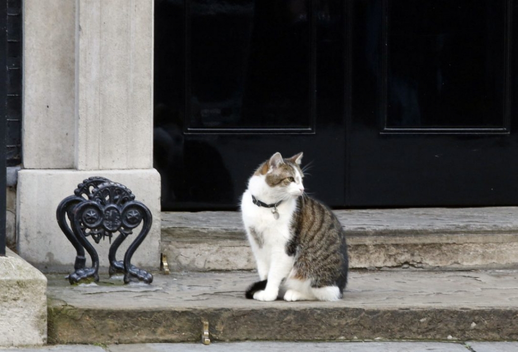 Larry has been Number 10’s resident cat since 2011 when he was brought in after a rat was spotted outside Downing Street during a live broadcast on the BBC