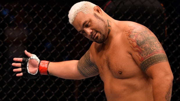 Mark Hunt