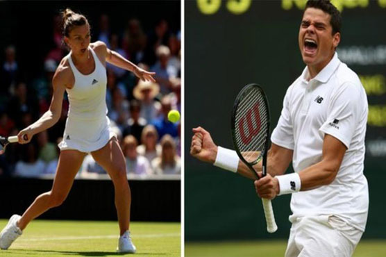 Milos Raonic and Simona Halep pulled out Rio Olympics due to fears over the Zika virus