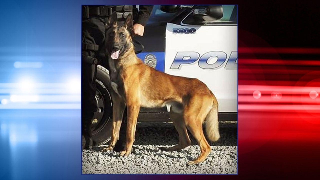 California K-9 officer dies after car air conditioning fails