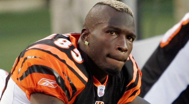 NFL Rumors Chad Johnson to become Cleveland Browns coach?		Posted by	Michael Telford on Jul 12 2016 13:41