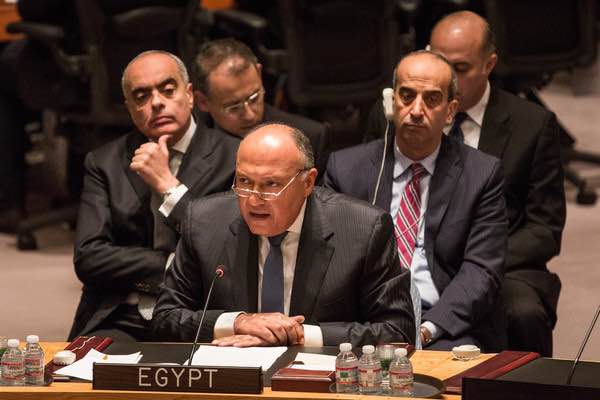 Egypt foreign minister heads to Israel for rare visit