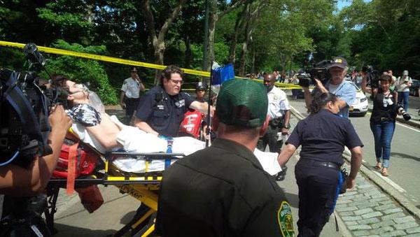 New York A young man was seriously injured after he was hit by an explosion in New York’s Central Park on Sunday authorities said