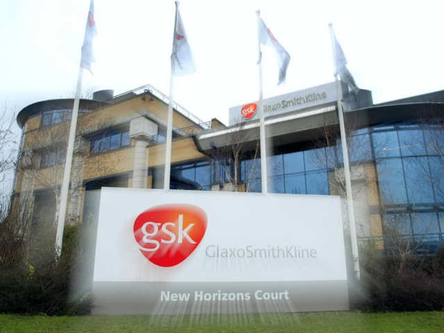 The Glaxo smith Kline