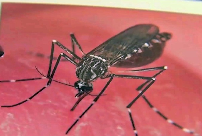 Obama administration travels to Central Florida to check on Zika preparedness