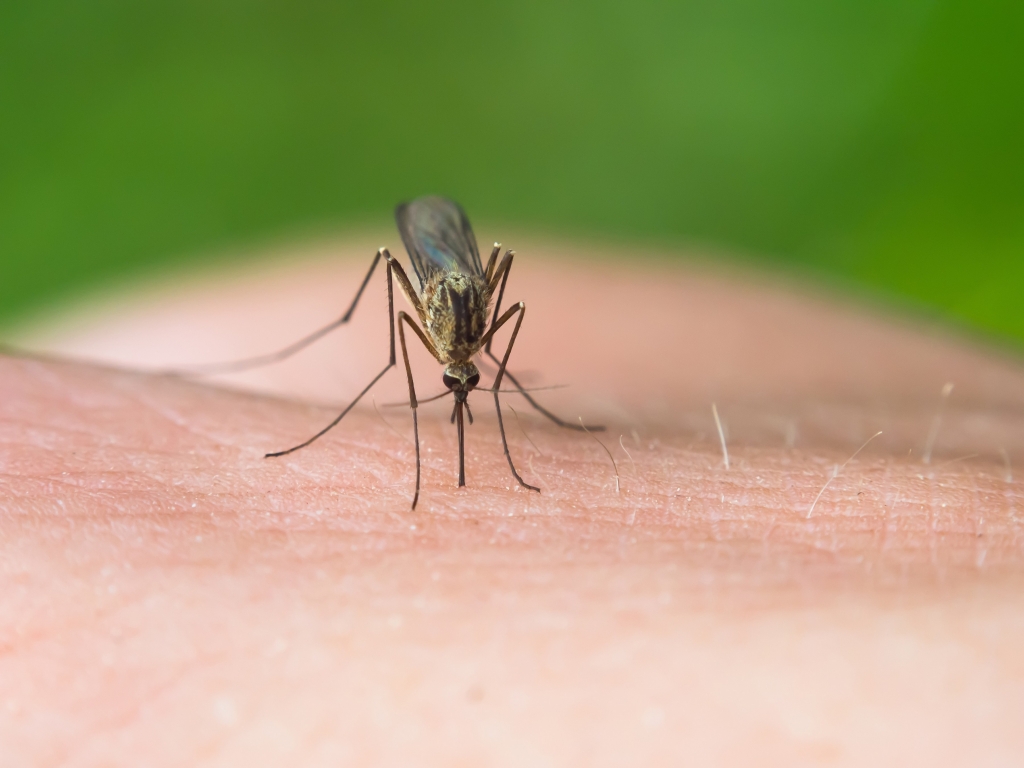 Ohio to get nearly $1M in federal Zika virus funding