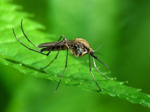 First Possible Zika Infection in Florida Says Health Officials