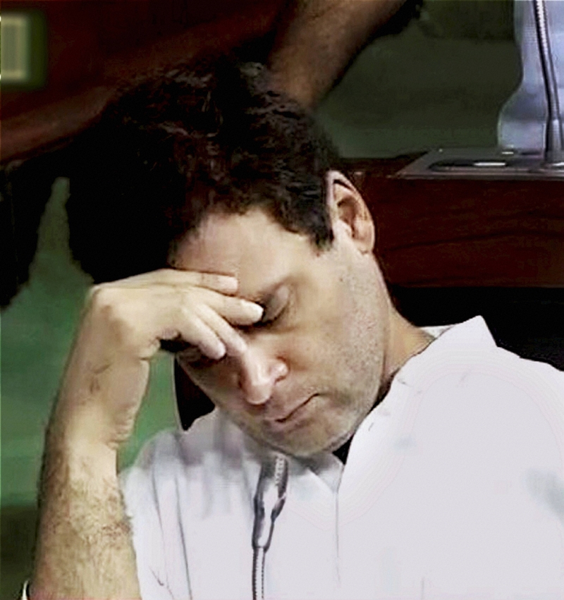 Rahul Gandhi sleeps Rahul Gandhi news Rahul Gandhi sleeping Rahul Gandhi lok sabha