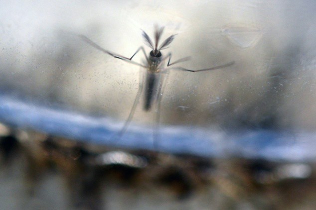 Officials investigating 'unique' Zika case in Utah