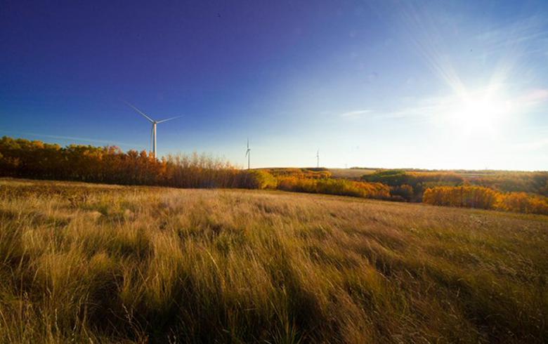 The Bull Creek Wind Facility. Source Blu Earth Renewables Inc. License All Rights Reserved