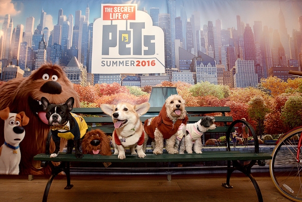 039;The Secret Life of Pets&#039 did very well as it earned over $103 million when it opened in the weekend