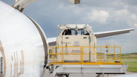 The horses are loaded into stalls on the ground then moved on to the aircraft- it is a'nervy time for all concerned