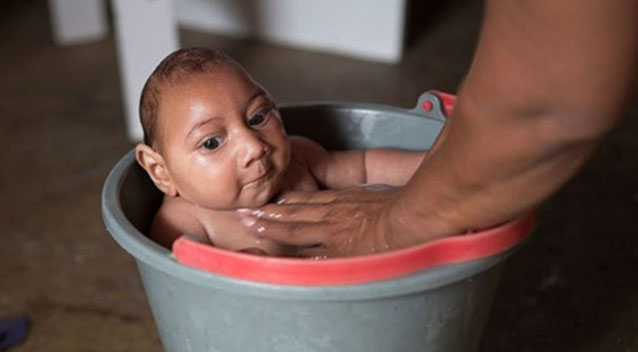 The mosquito-borne virus has been linked to a spike in severe birth defects. Source Supplied