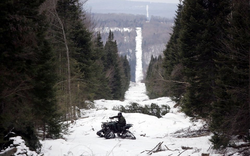 The rebound in commodity prices has helped Canadian stocks speed ahead this year