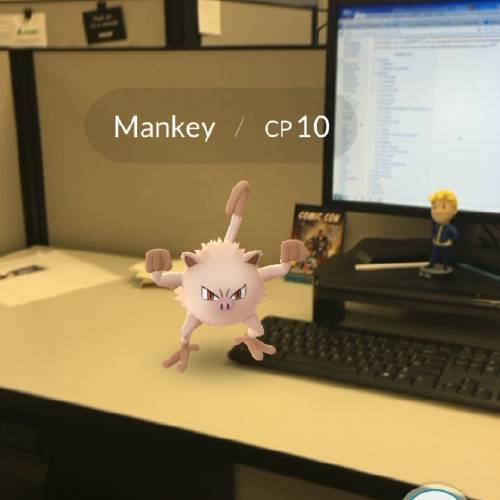 This mankey was rudely sitting on my desk