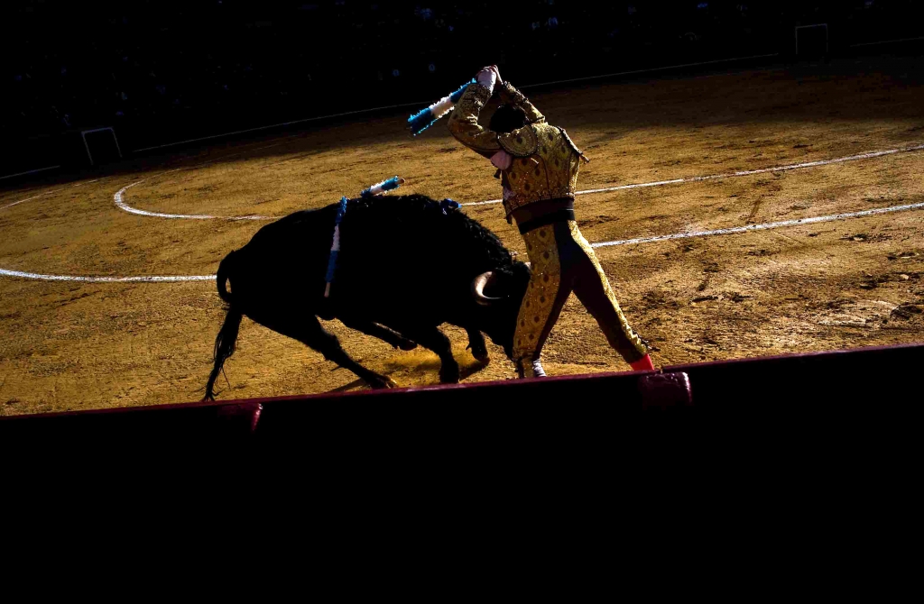 Five people gored at Pamplona bull running festival