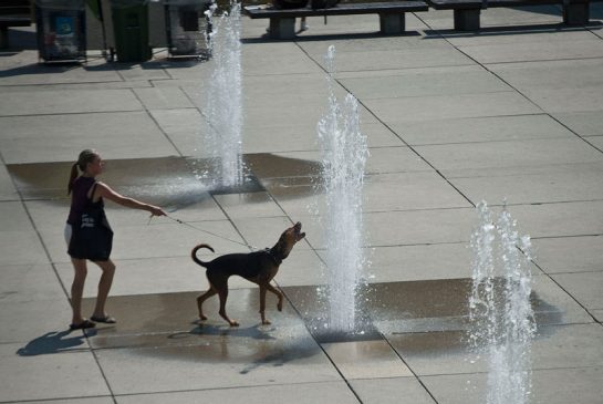 Toronto is in store for another hot week