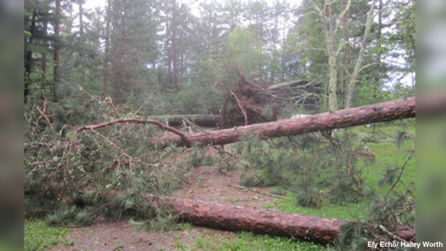 Storm causes damage in Beltrami County