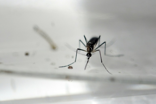 'The Florida Department of Health announced that it is conducting an epidemiological investigation into a possible non-travel related case of Zika virus in B