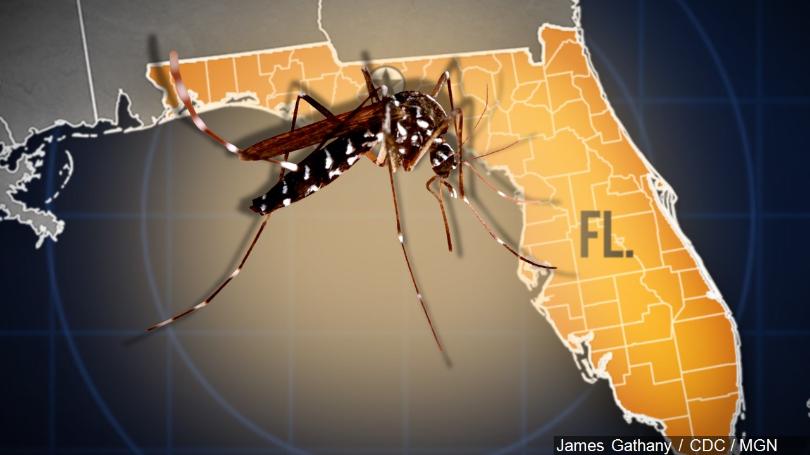 Florida Gov: '4 People Likely Have Zika From Local Mosquito Bite'