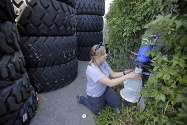 CDC to award Arizona $1.8 million to combat Zika