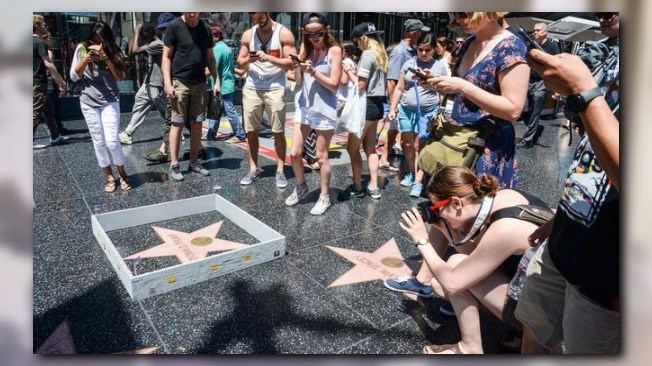 Artist Builds Mini Wall Around Trump's Hollywood Walk of Fame Star