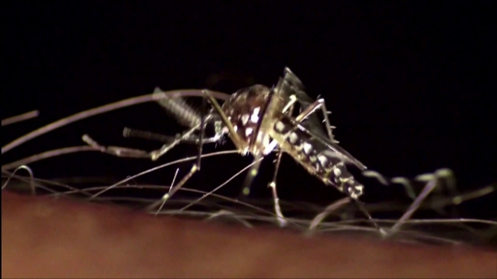 Zika virus testing now underway in Central Virginia