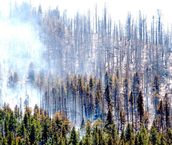 2 campers accused of starting Colorado wildfire