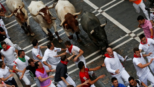 Runners lead a Jose Escolar bull and steers during the third running of the bulls at the San Fermin festival