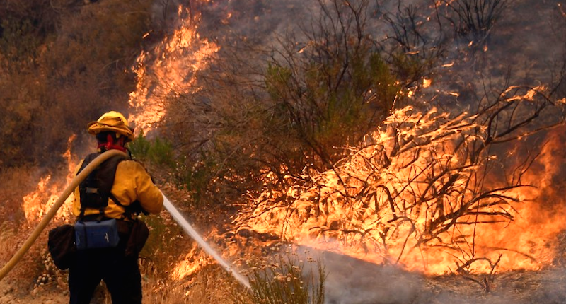 A fire fighter battles the so-called Sand Fire in the Angeles National Forest near Los Angeles California United States