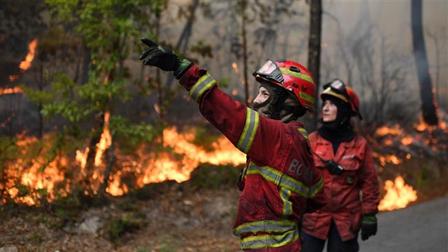 A firefighter looks on as a colleague gestures before they tackle a wildfire in Torredeita near Viseu central Portugal on August 9 2016