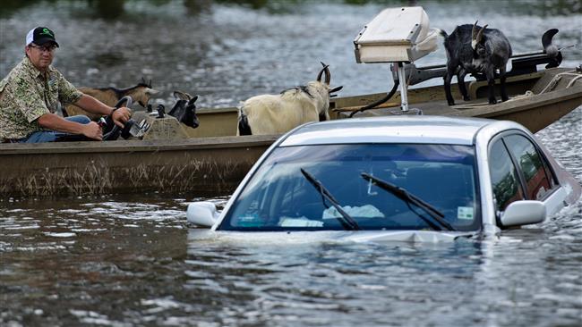 A man navigates a boat of rescued goats past a partially submerged car after flooding