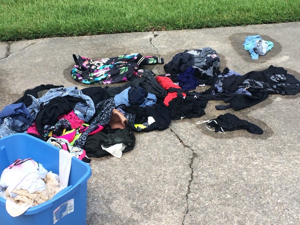 A pile of laundry sits in the author's driveway waiting to be rinsed off