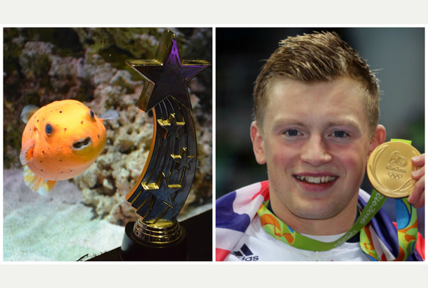 A puffer fish has been named after Adam Peaty