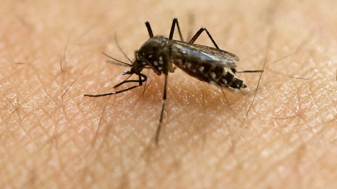 In Swing-State Florida, Zika Bites