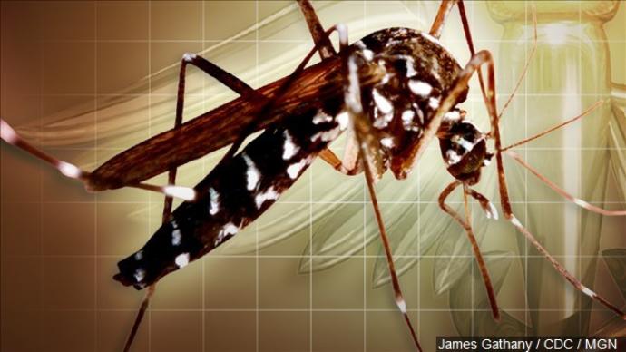 Maryland man showing no Zika symptoms passes virus to sex partner