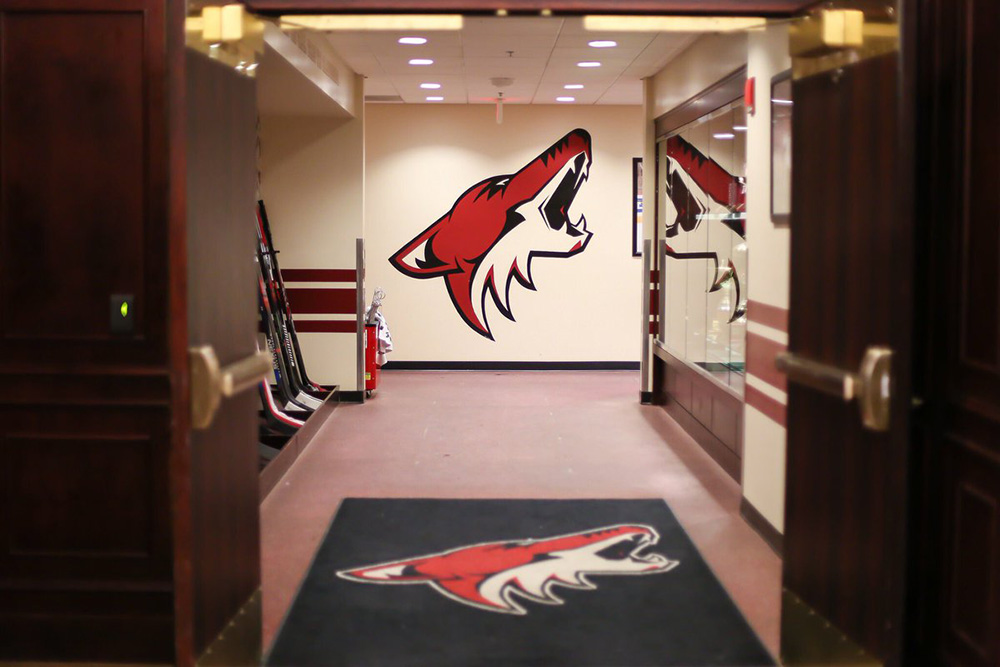 Arizona Coyotes