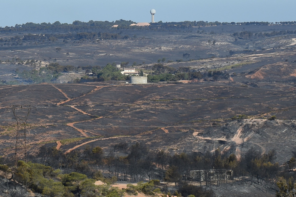 Around 3,300 hectares have been destroyed