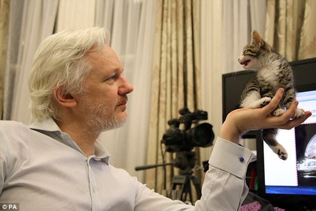 Assange has been holed up in the Ecuadoran Embassy in London since 2012 to avoid extradition to the United States