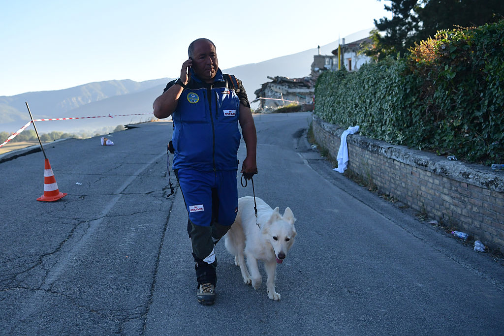 Magnitude 6.2 Earthquake Hits Central Italy