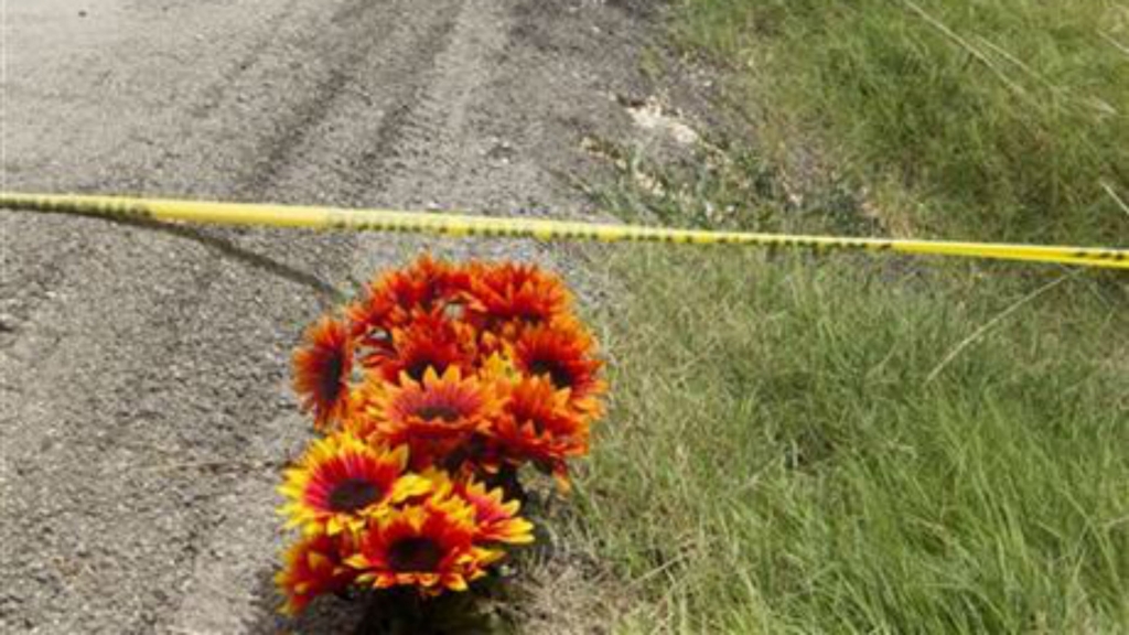 A hot air balloon made contact with high-tension power lines before crashing into a pasture in Central Texas killing all